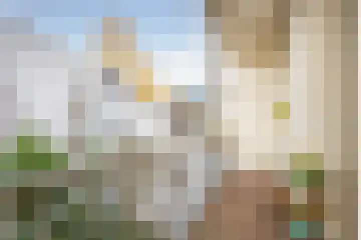 Weesperzijde 96 2 Amsterdam thumbnail 29