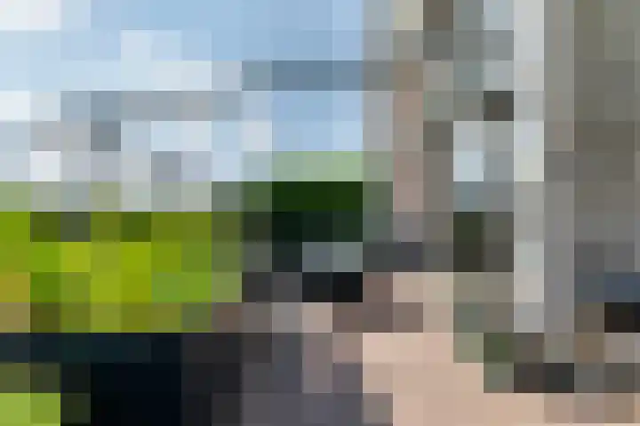 Weeversstraat 35 Zwolle thumbnail 44