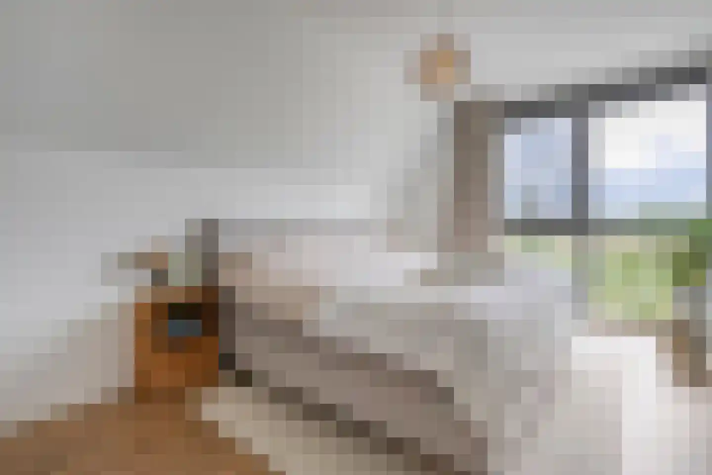 Weeversstraat 37 Zwolle thumbnail 27