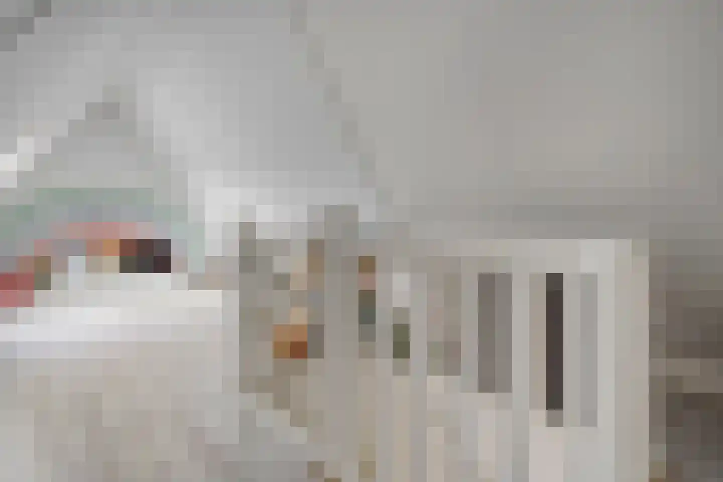 Weeversstraat 37 Zwolle thumbnail 39