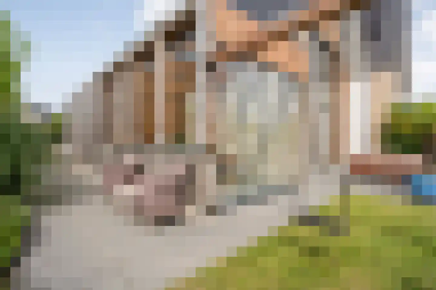Weeversstraat 37 Zwolle thumbnail 44