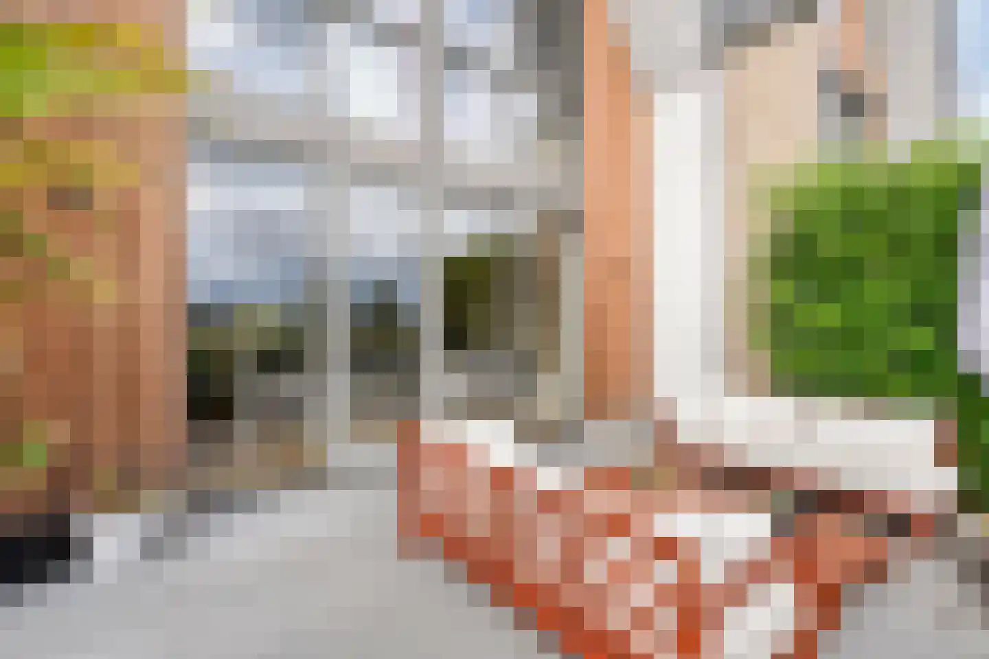 Weeversstraat 37 Zwolle thumbnail 48