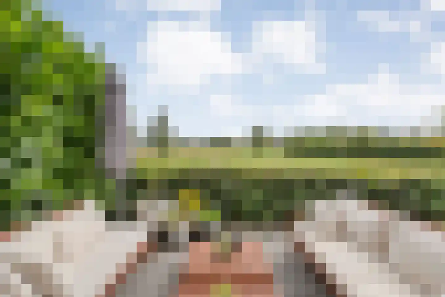 Weeversstraat 37 Zwolle thumbnail 49