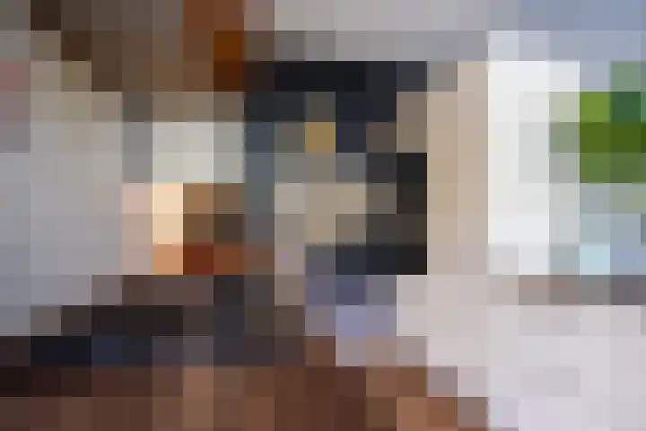Weezenhof 2065 Nijmegen thumbnail 11