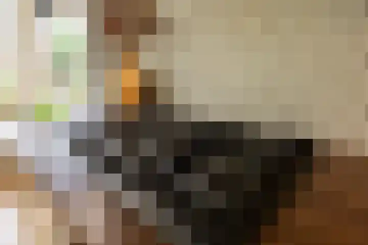 Weezenhof 2065 Nijmegen thumbnail 13