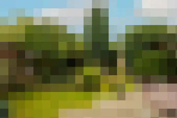 Weezenhof 2065 Nijmegen thumbnail 38