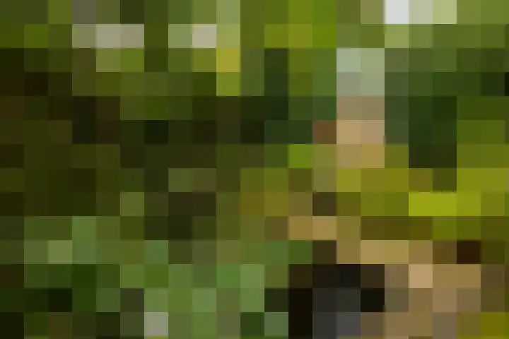 Weezenhof 2065 Nijmegen thumbnail 39