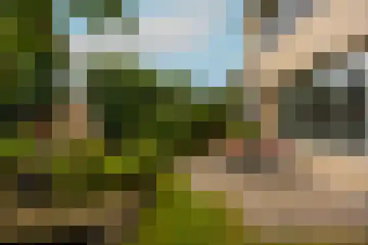 Weezenhof 2065 Nijmegen thumbnail 40