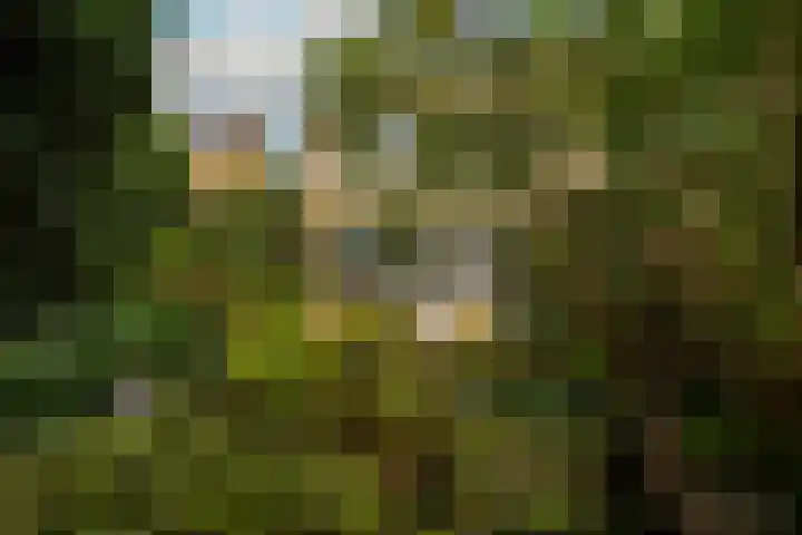 Weezenhof 2065 Nijmegen thumbnail 43