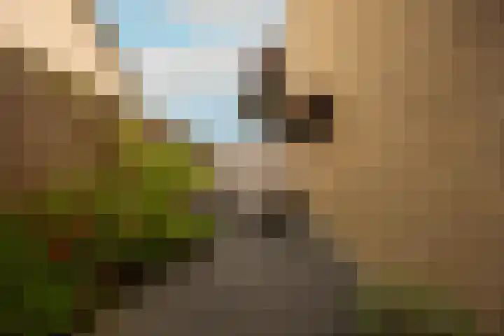 Weezenhof 2065 Nijmegen thumbnail 44