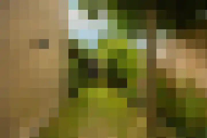 Weezenhof 2065 Nijmegen thumbnail 45