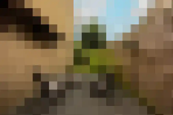 Weezenhof 2065 Nijmegen thumbnail 46
