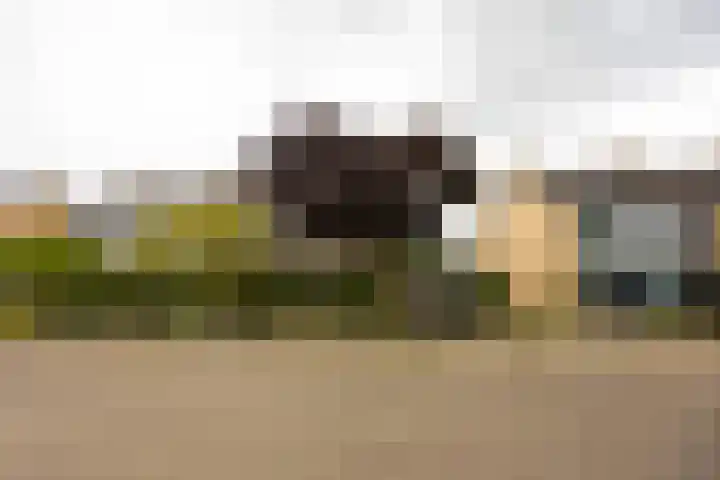 Weezenhof 2065 Nijmegen thumbnail 47