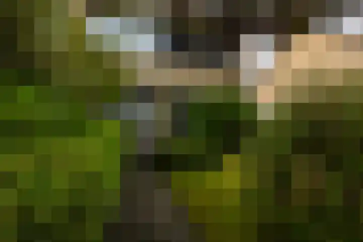 Weezenhof 2065 Nijmegen thumbnail 49