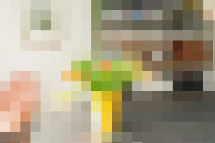 Weezenhof 2071 Nijmegen thumbnail 16