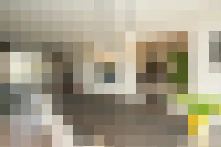Weezenhof 2071 Nijmegen thumbnail 22