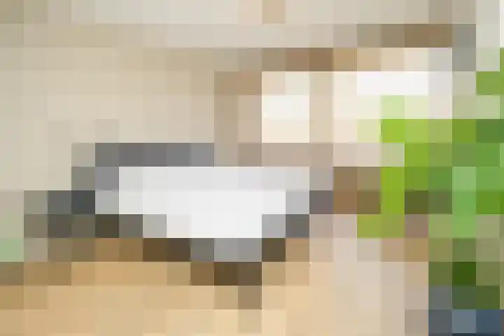 Weezenhof 2071 Nijmegen thumbnail 25