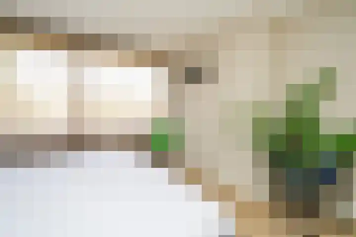 Weezenhof 2071 Nijmegen thumbnail 26