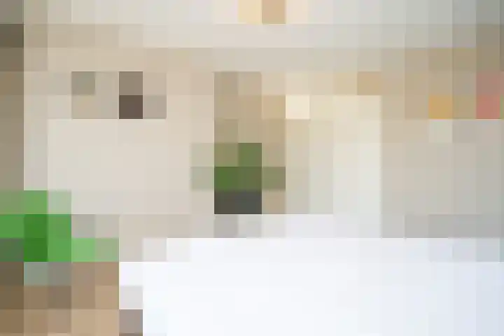 Weezenhof 2071 Nijmegen thumbnail 28