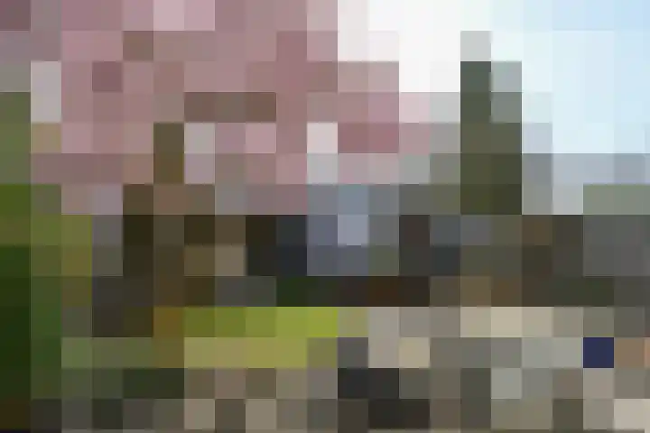 Weezenhof 2071 Nijmegen thumbnail 4