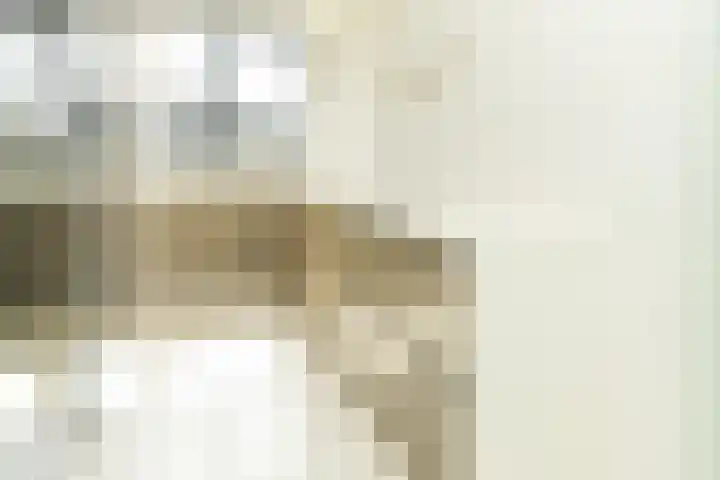 Weezenhof 2071 Nijmegen thumbnail 41