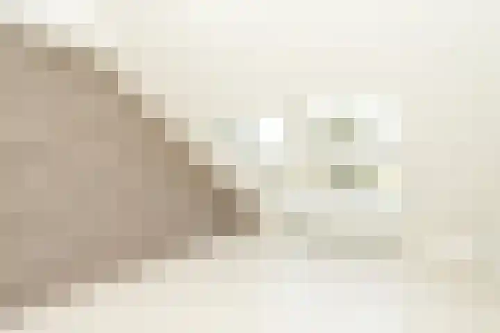 Weezenhof 2071 Nijmegen thumbnail 43