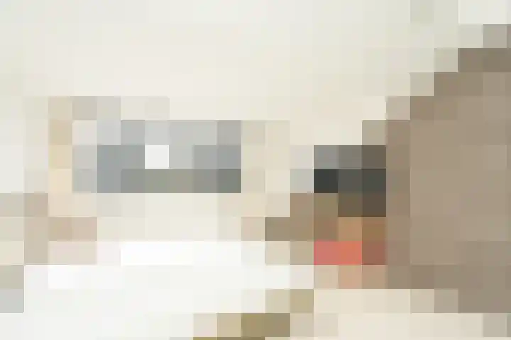 Weezenhof 2071 Nijmegen thumbnail 46