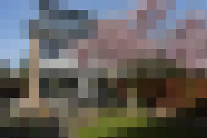 Weezenhof 2071 Nijmegen thumbnail 48