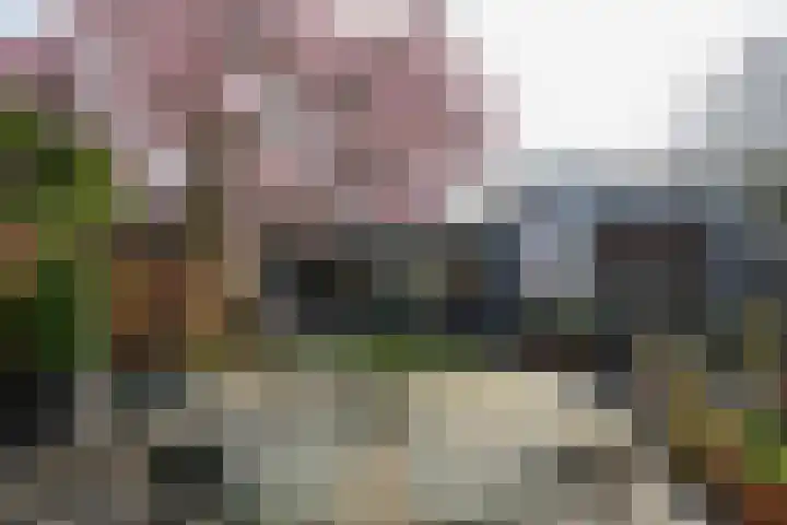 Weezenhof 2071 Nijmegen thumbnail 50