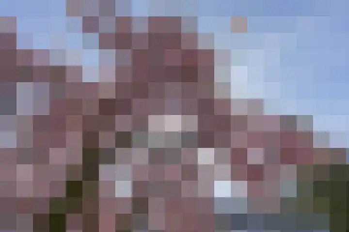 Weezenhof 2071 Nijmegen thumbnail 51