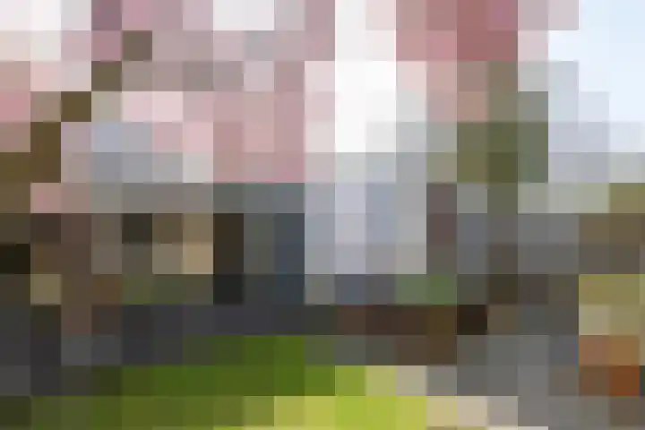 Weezenhof 2071 Nijmegen thumbnail 57
