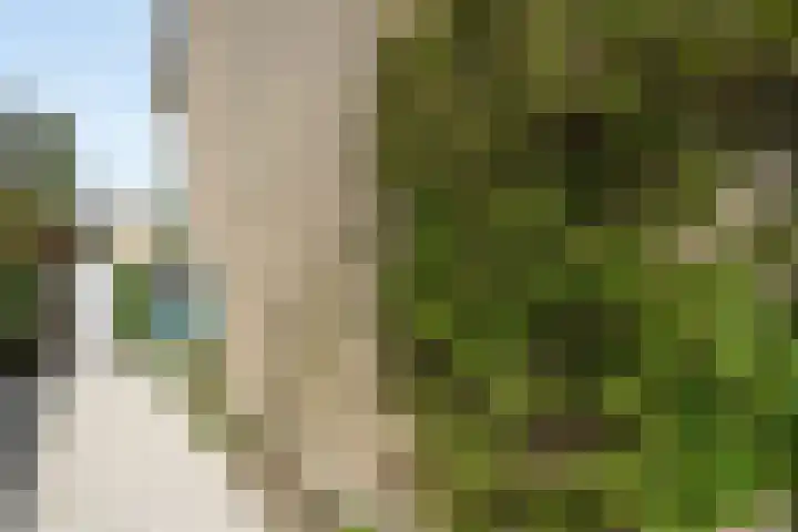 Weezenhof 2071 Nijmegen thumbnail 58