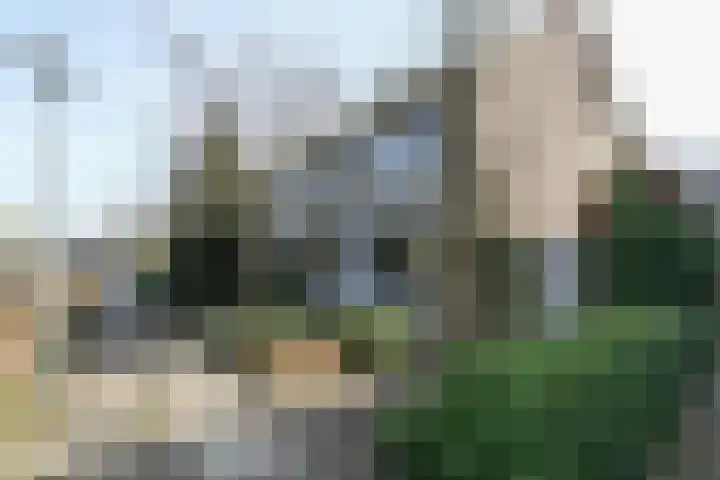 Weezenhof 2071 Nijmegen thumbnail 61