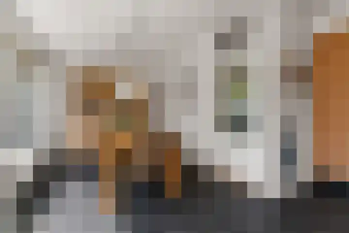 Weezenhof 2111 Nijmegen thumbnail 13