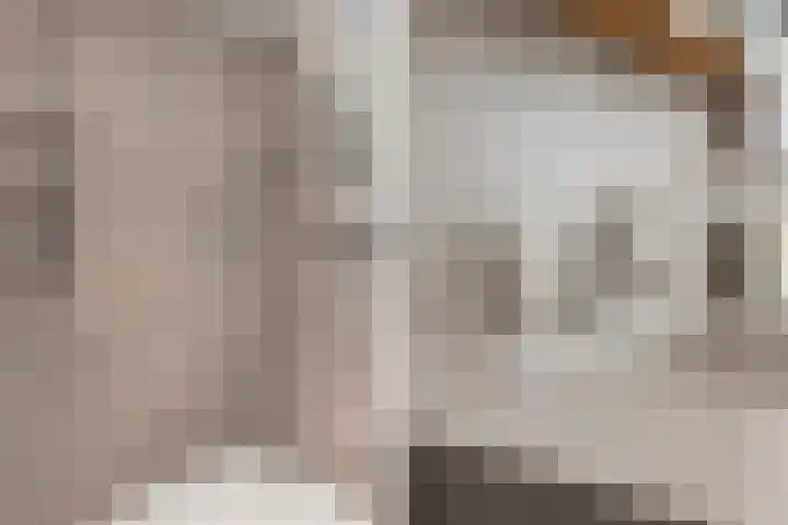 Weezenhof 2111 Nijmegen thumbnail 28