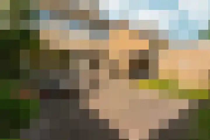 Weezenhof 2111 Nijmegen thumbnail 40