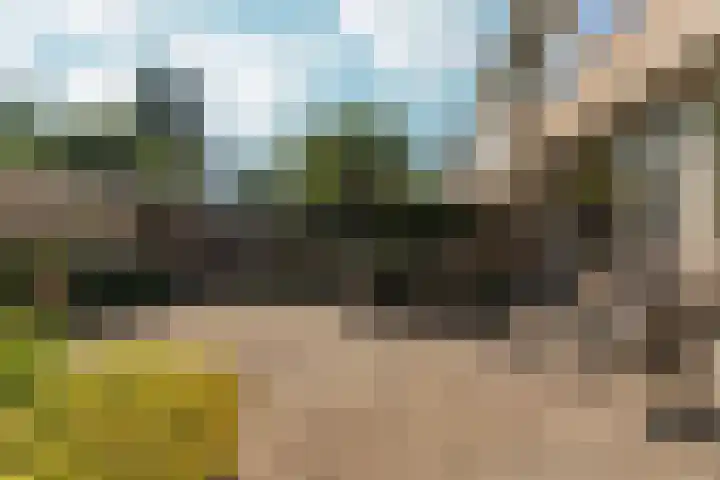 Weezenhof 2111 Nijmegen thumbnail 44