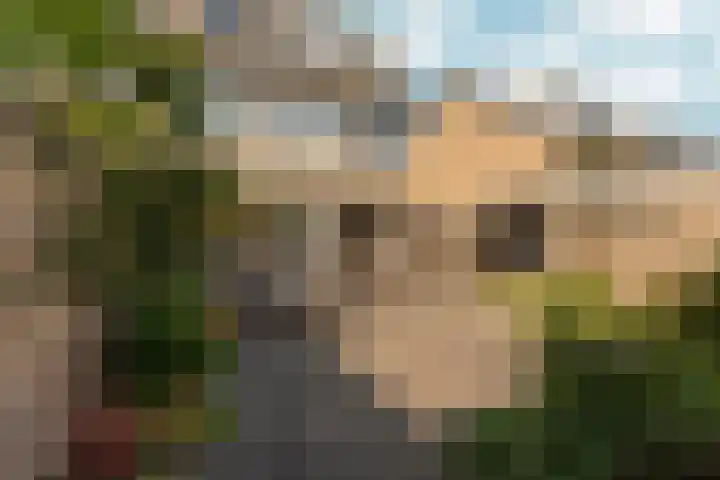 Weezenhof 2111 Nijmegen thumbnail 46