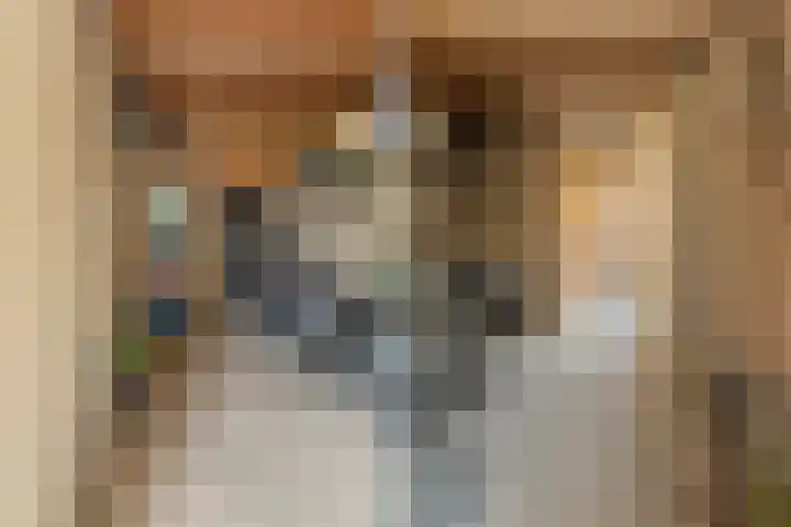 Weezenhof 2111 Nijmegen thumbnail 47