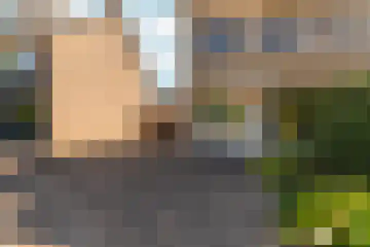 Weezenhof 2111 Nijmegen thumbnail 50