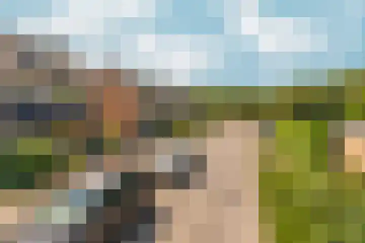 Weezenhof 2111 Nijmegen thumbnail 53