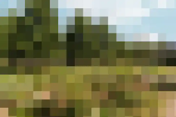 Weezenhof 2111 Nijmegen thumbnail 55