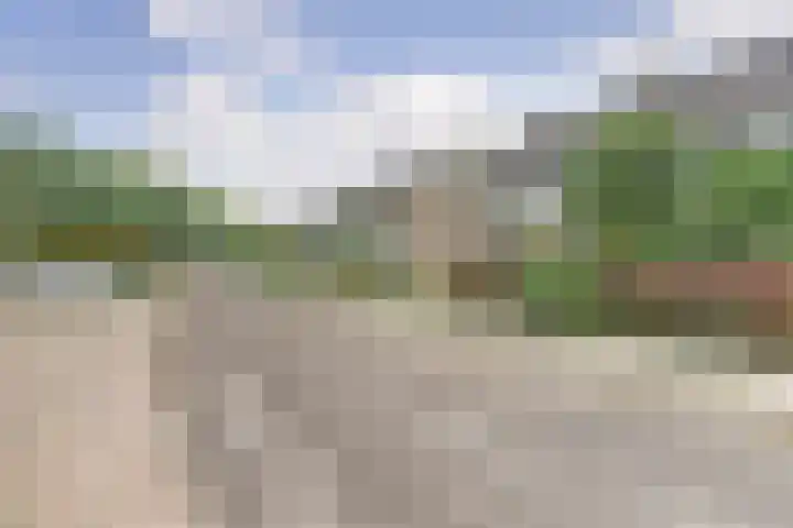 Weezenhof 2157 Nijmegen thumbnail 35