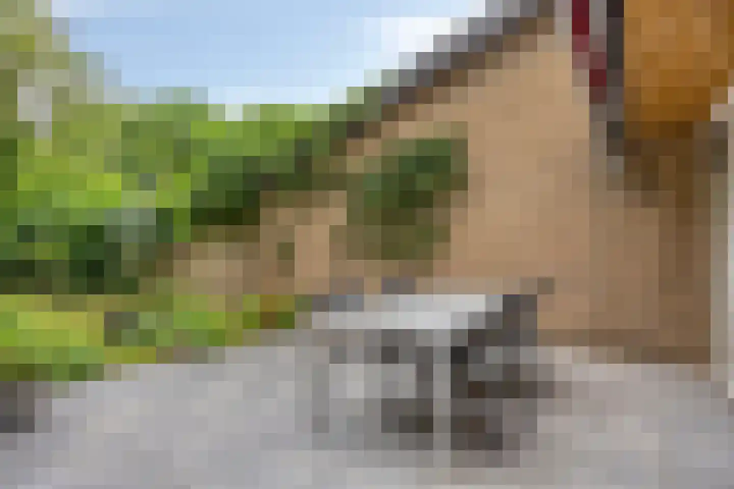 Weezenhof 2317 Nijmegen thumbnail 19
