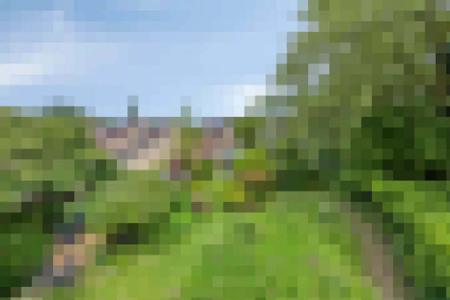 Weezenhof 2317 Nijmegen thumbnail 23