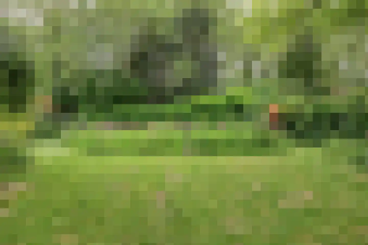 Weezenhof 2317 Nijmegen thumbnail 24