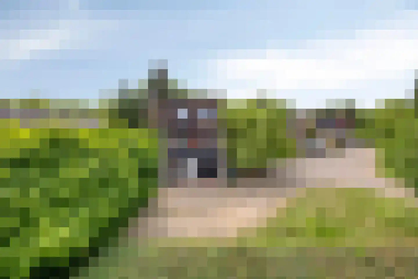 Weezenhof 2317 Nijmegen thumbnail 44