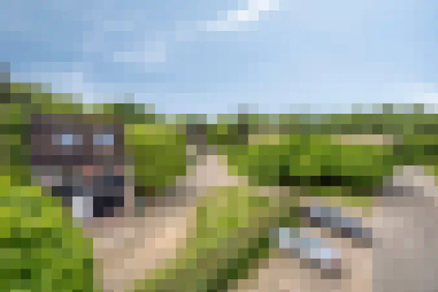 Weezenhof 2317 Nijmegen thumbnail 45