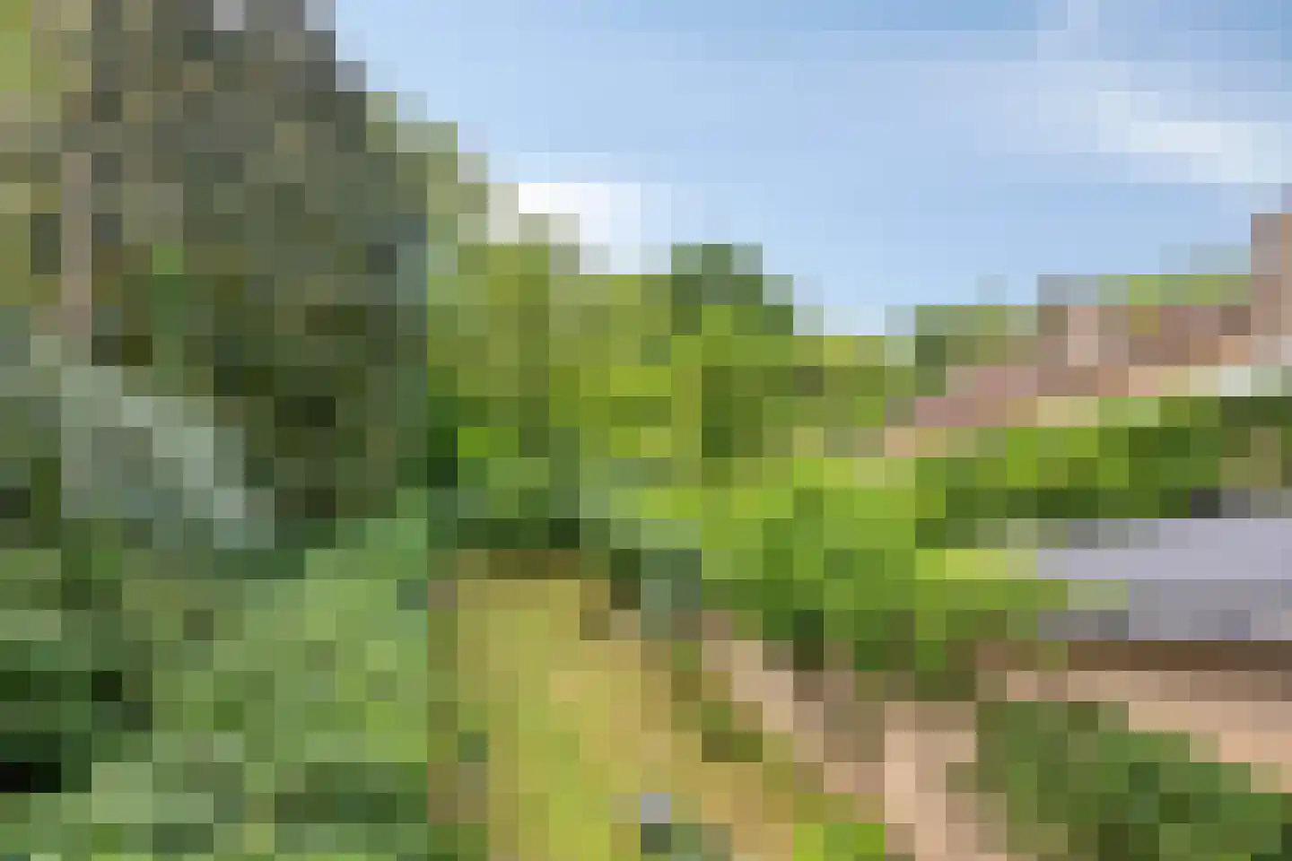 Weezenhof 2317 Nijmegen thumbnail 46