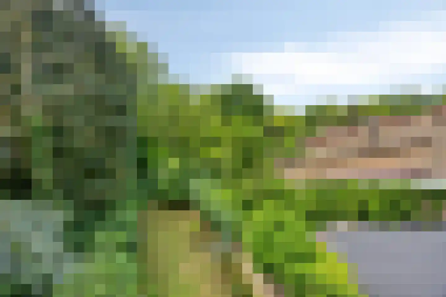 Weezenhof 2317 Nijmegen thumbnail 47